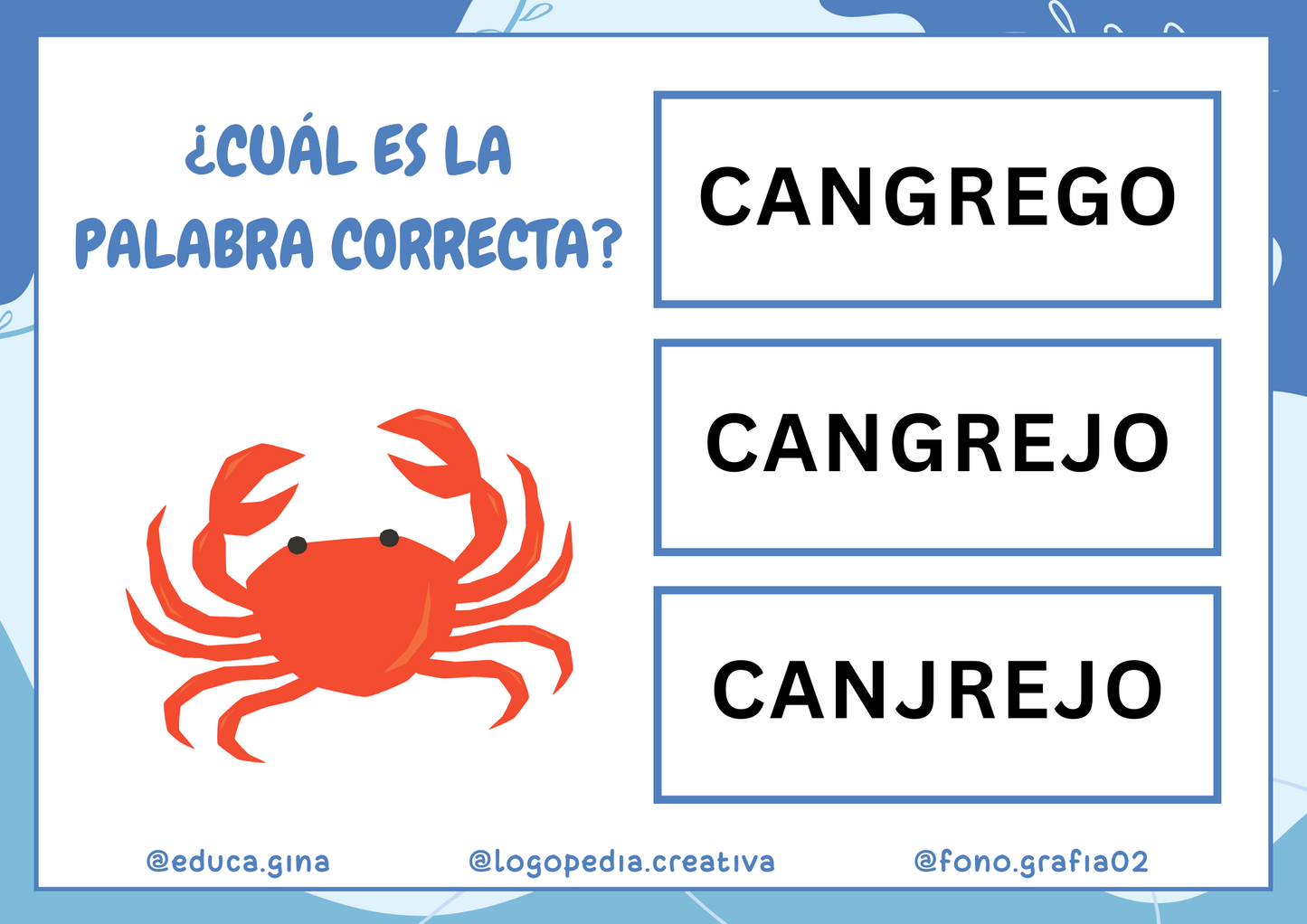 Elige la palabra correcta